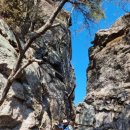 늑대와 여우 이미지