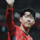 브라운피크닉 이미지