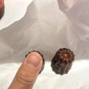 알파문구~이마트편의점 이미지