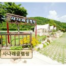 양평 캠핑장 추천 사나래글램핑 깨끗함과 조용함 돋보여요
