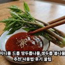 지니몰 | 지니몰 드룹 땅두릅나물 생두릅 봄나물 추천 사용법 후기 꿀팁