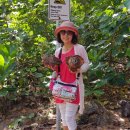 성모농장 이미지