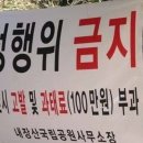 해돌