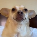 밀레니엄서울내과의원 이미지