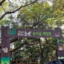 창원 편백치유의숲 유아숲체험원 이미지
