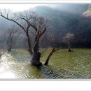 주왕산휴식소 이미지