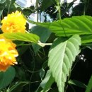 쉘리타운(오피스텔) 이미지