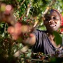 트리플에-이(AAA) 이미지