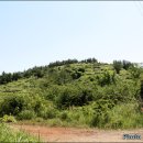 표선면-11 Daum카페