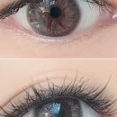 글램래쉬(Glam Lash)