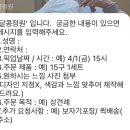 달콩정원 이미지