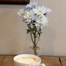 일로 | 부천 신중동 카페 일로카페 조용한 분위기 카페 추천 후기