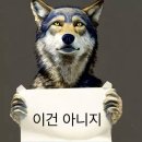 슬리퍼 잘못 신었다가 발등 ㅇㅣ지롤 났는데 (혐짤 주의) 이미지