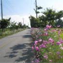 용산1리마을회관 이미지