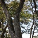 신안자동차 이미지