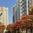 곱창사주는오빠 | [주간일기] 회사는 정떨어지지만 밥은 잘챙겨먹는 11월 일상(옥길동 맛집들, 동대문곱창, 카페클라우즈)