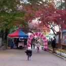 과천역 7번 출구(내점길) 이미지