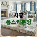시흥생활가이드