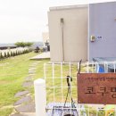 코쿠멍 | 연천애견동반펜션 코쿠멍 방문후기