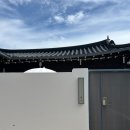 스테이유심