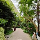 삼동경로식당 이미지