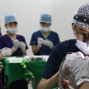 노블라인의원 이미지