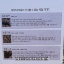 용암파크골프장 화장실 | 제주신상카페 추천 파호이호이 라바필드 파크 용암 위를 걷는 제주대형카페 제주이색데이트 후기