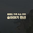 울릉도 숙소 펜션 추천) 숲이야기펜션 내돈내산 솔직후기 위치 가격