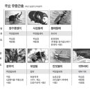 김종희농장 이미지