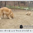 지우유리 이미지