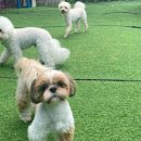 패밀리코스 이미지