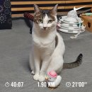 오렌지마트 상봉점 이미지