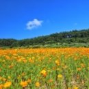 장암경로당 이미지