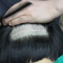박성욱헤어