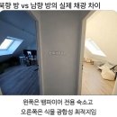 채광