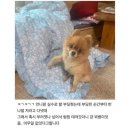 세천리더스치과의원 | [당산리더스정형외과의원 영등포] 당산역 정형외과 추천 후기 인생병원을 찾다