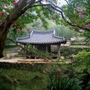 (주)착한동네 초록비누 | 초록 풍경 속 힐링, 대한민국 자연명소 총정리