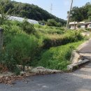 조경 선생 묘 이미지