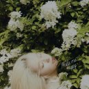 아랫장PC 이미지