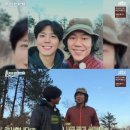 다정한 민박 이미지