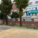 서울신양초등학교 이미지