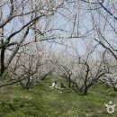 우리농원 이미지