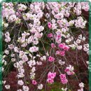 자연치유한의원 이미지