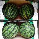 순천매산고등학교 이미지