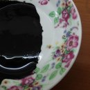 나무 밑 고양이 이미지