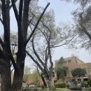 동숭동 백동어린이공원 | 아이와 대학로 미술 공방 끄적끄적미술공방, 동숭동, 낙산공원 산책