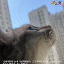 신사마취통증의학과의원 이미지