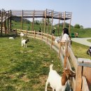 대로목장 이미지