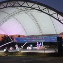 세종태권도장체육관 이미지