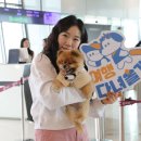 어서오개 이미지